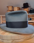 WHIPPET FEDORA | 100X BEAVER | EMERALD GRAY COLOR | SIZE 60, US 7 1/2